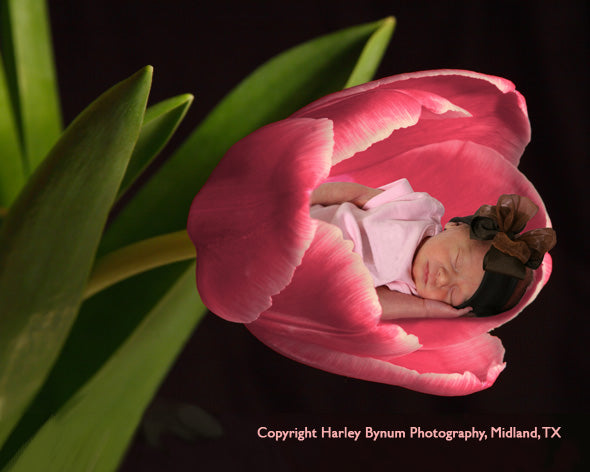 ic:Learn how to create a fantasy image in the Anne Geddes style, using stock photography and Photoshop. Image used with permission.