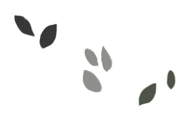 Paint some simple leaf shapes, as shown. Each grouping here comes from a separate layer.