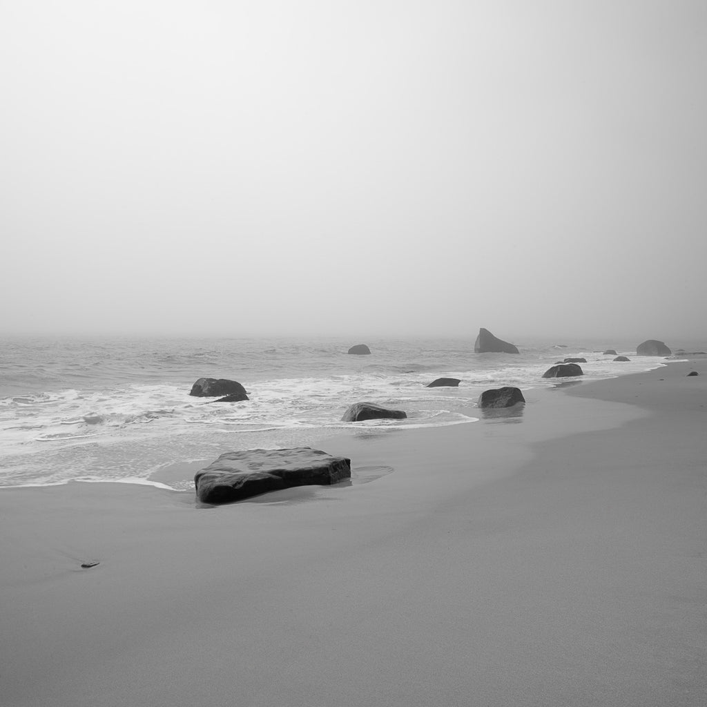 ic:Monochrome Magic at Martha's Vineyard