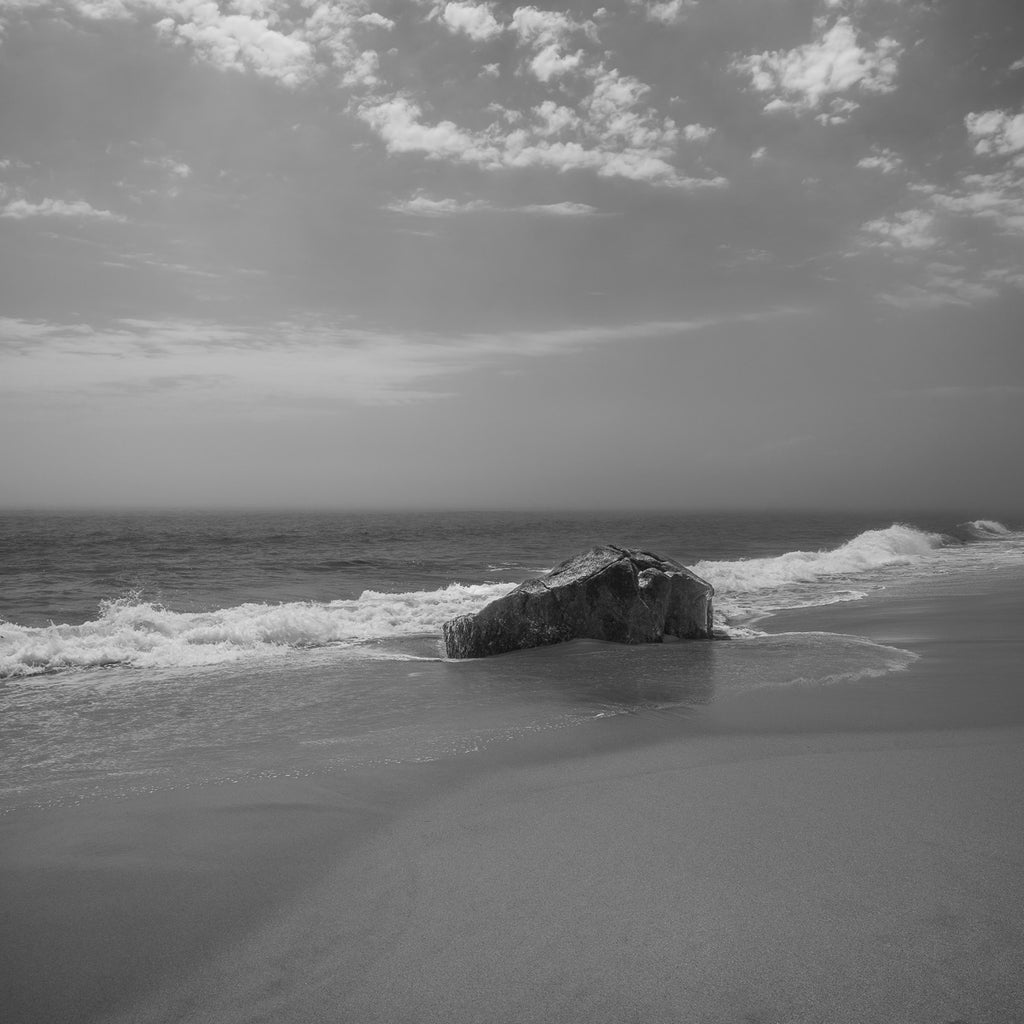 ic:Steadfast Sentinel of Martha's Vineyard