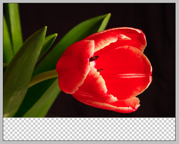 ic:Flip the image horizontally, and then extend the canvas size along the bottom.