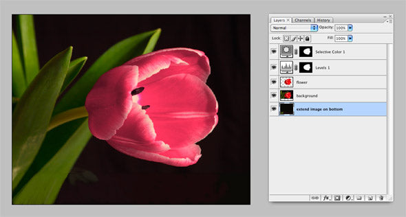 ic:Paint in Photoshop to extend the image downwards. (Optional step.)