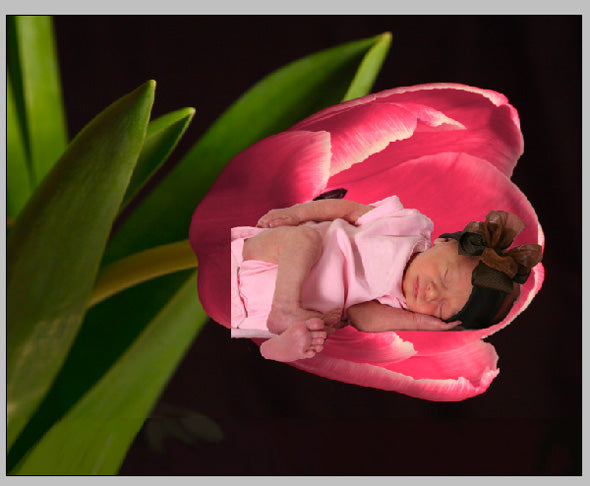 ic:After first adding the baby to the flower image.