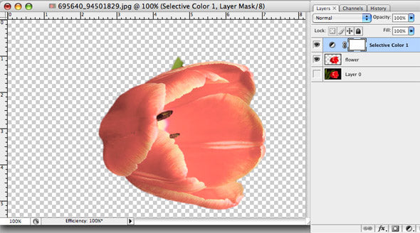 ic:Adjust the sliders as shown to remove the yellow, creating a pale pink tulip.