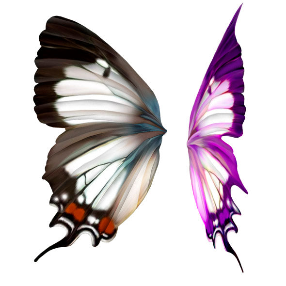 ic:The original butterfly wing (left) was transformed into the fairy wing on the right.