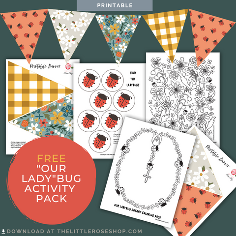 our ladybug activity pack | the little rose shop