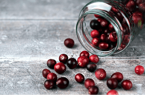 What Are Sugared Cranberries?