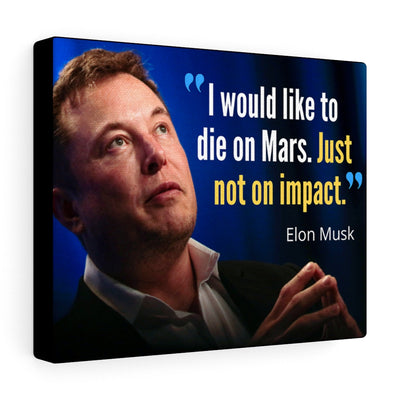 Elon Musk 'Die on Impact' Quote - Canvas Wall Hanging