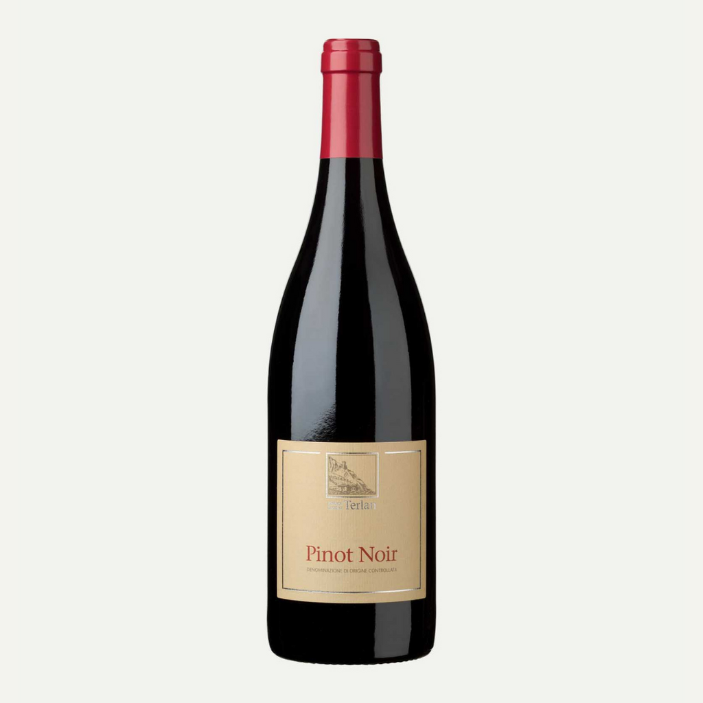 Pinot Noir Tradition