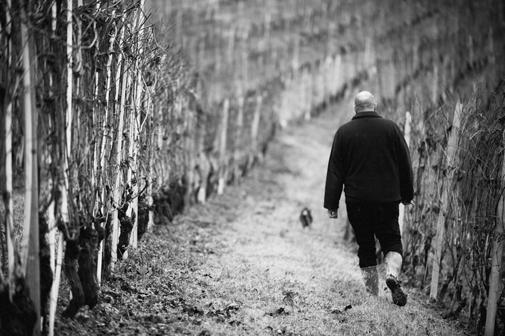 Ettore Germano Winemaker