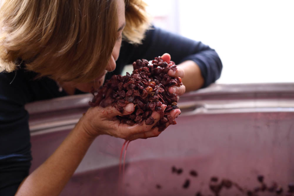 Smelling grapes