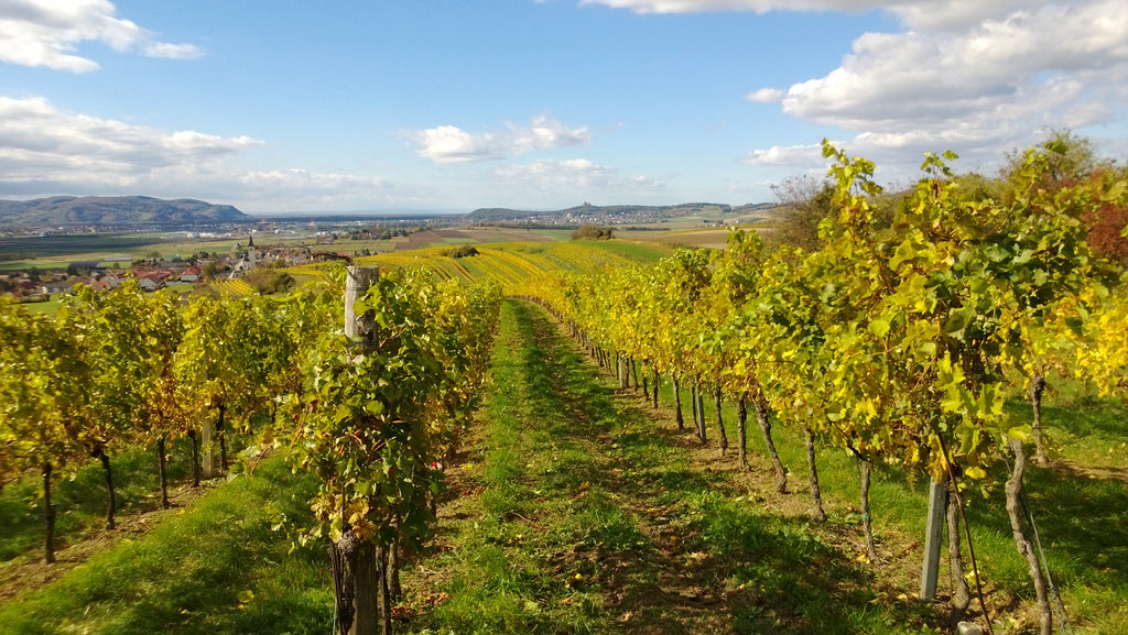 Pfaffl Austrian wine region vineyards