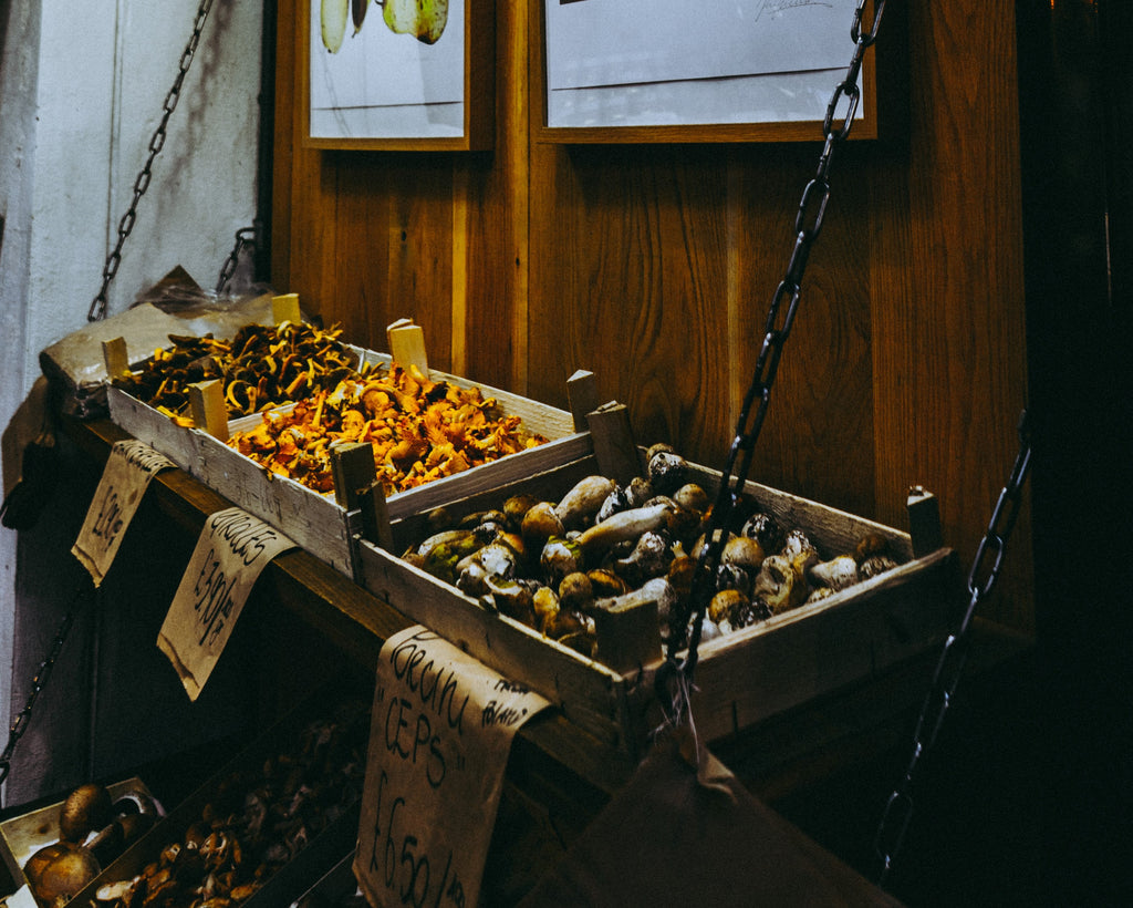 autumn wild mushrooms 