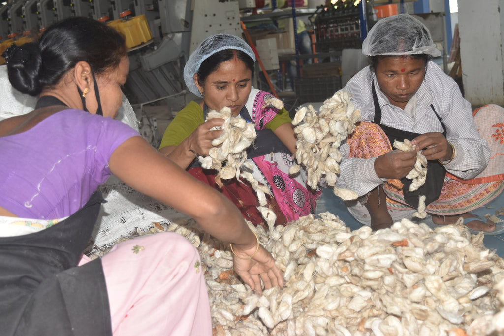 Sorting Eri Silk Cocoons