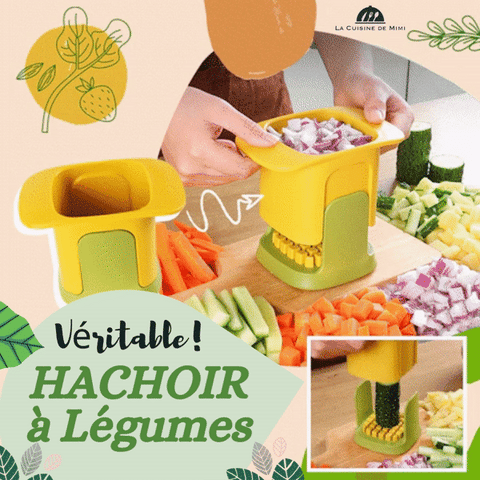 Hachoir legume manuel : nos recettes fraîcheur de l'été