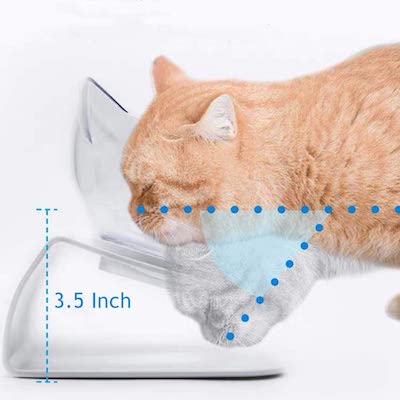 elevated cat bowl