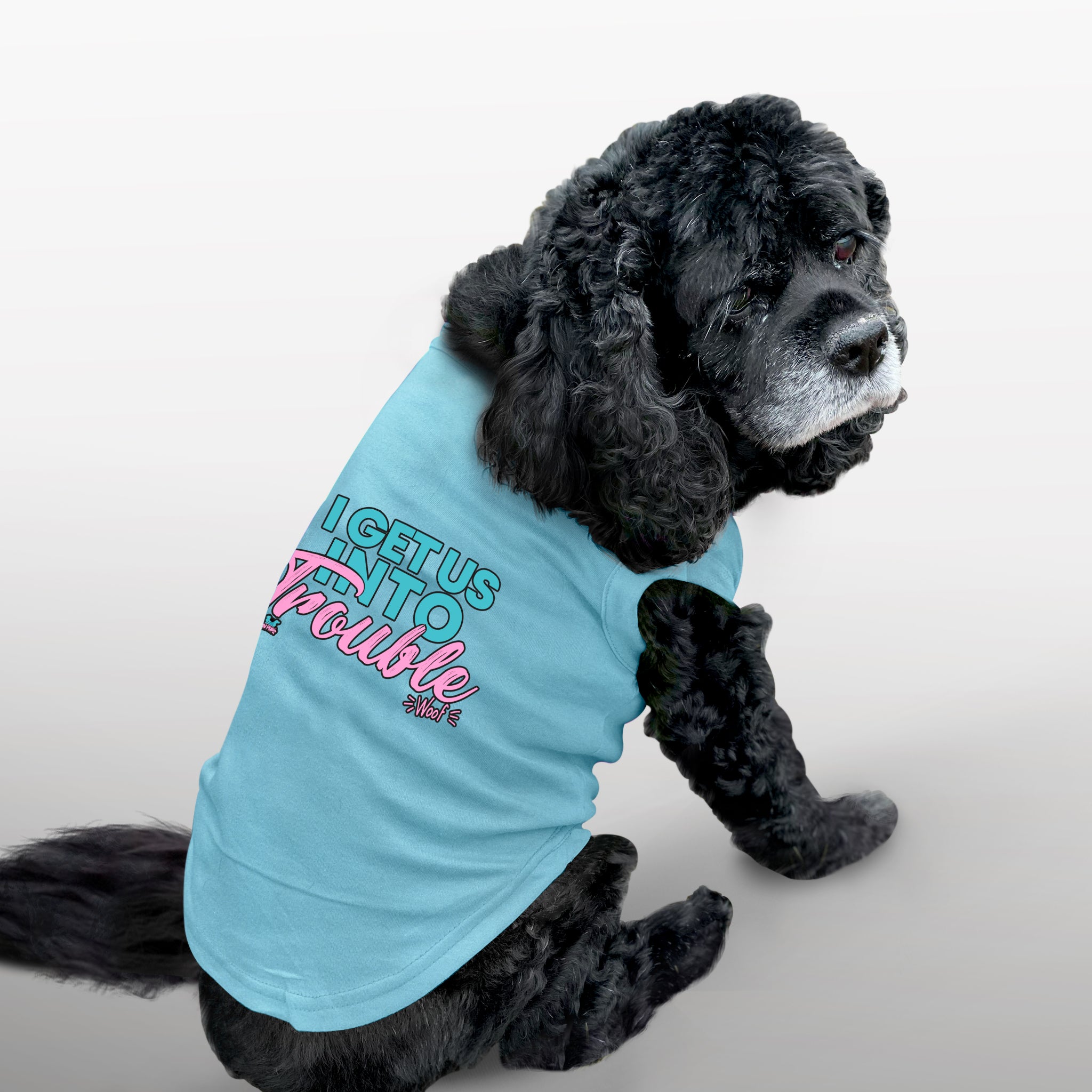 Grateful Dog T-Shirt  Iconic Dancing Dogs – Mission Driven