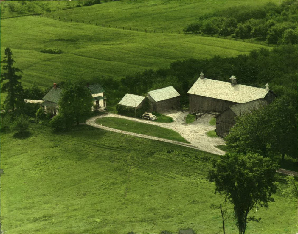 McKeown Cidery.JPG