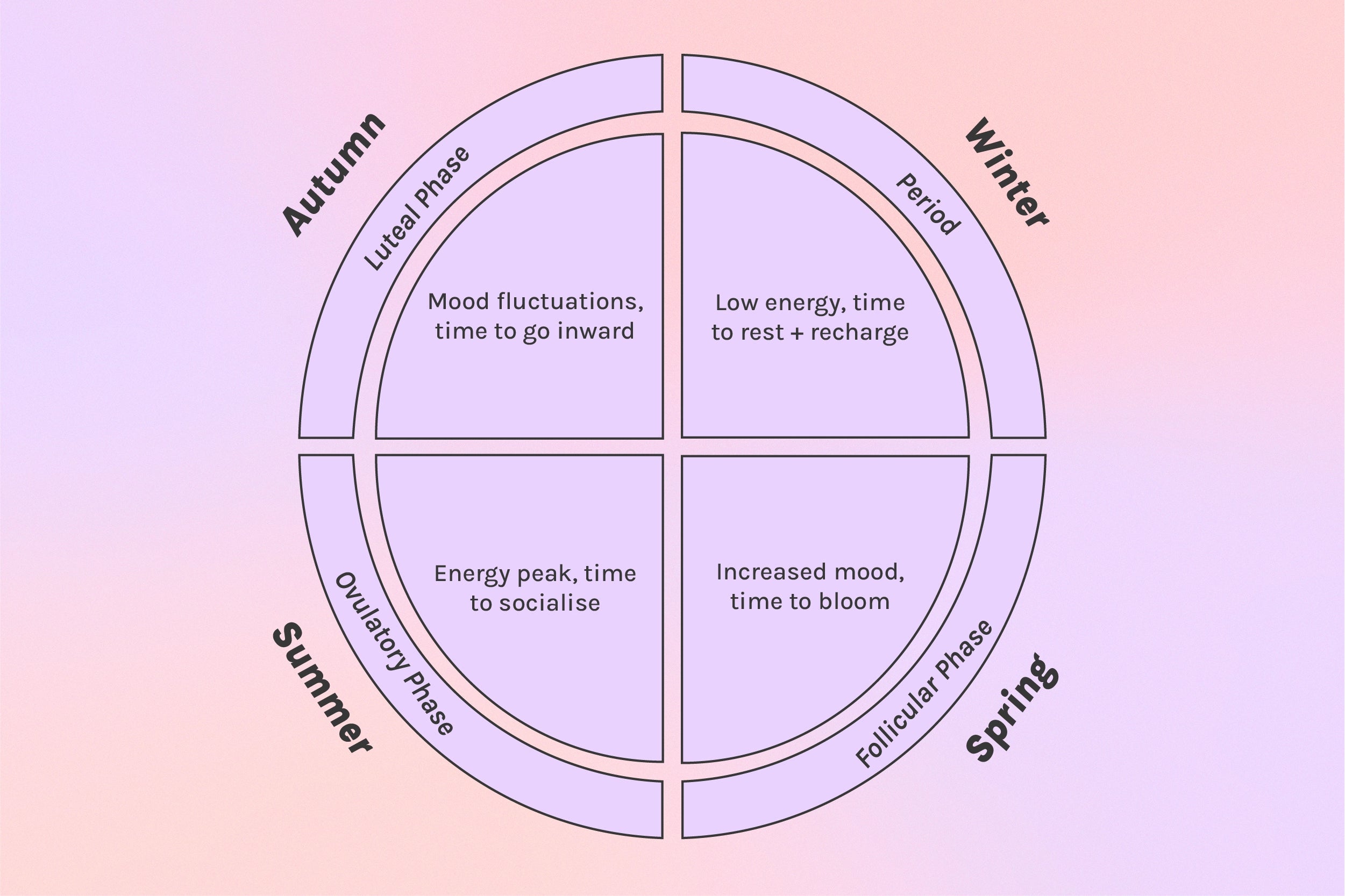 Diagram of 4 stages of menstrual cycle