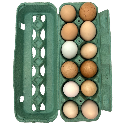 Egg Tray Holder Bulk Paper Egg Cartons Chicken Eggs Pulp - Temu