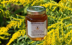 Raw Goldenrod Honey