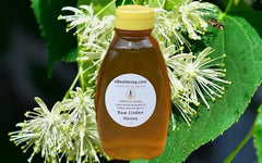 Raw Basswood Honey