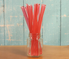 Watermelon Honey Sticks