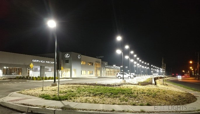 LED Shoebox Lights in Parking Lot