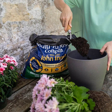 Woman potting with multipurpose compost