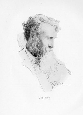 John Muir Craftsman