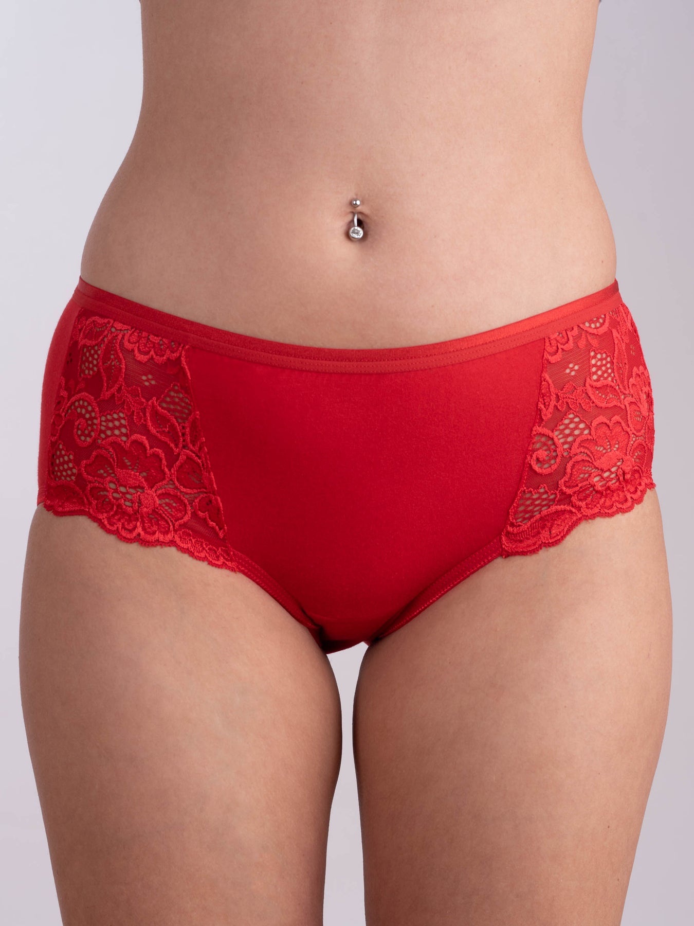 Plus Size - Shine And Lace High-Rise Cheeky Panty - Torrid