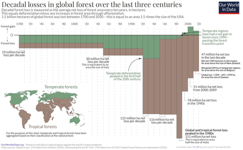 Deforestation each decade