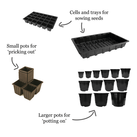 Different types of pot used in horticulture