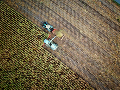 global agriculture cop26