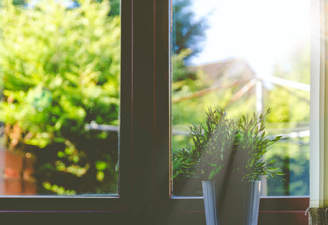 sunny windowsill with a plant pot