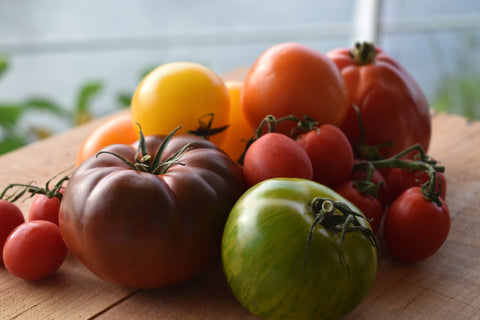 sprout-tomatoes-august