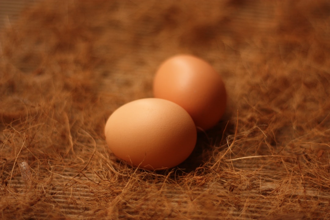 Zwei braune Eier