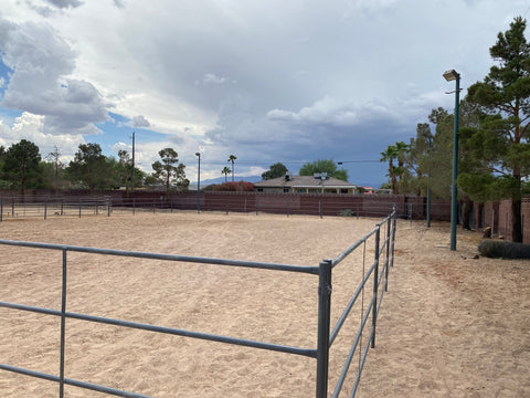 arena panel kit horse for sale