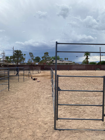 horse arena gate panel