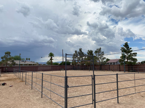 horse panel arena gate