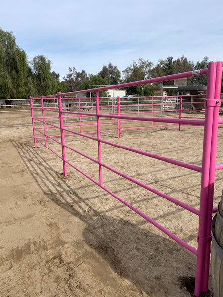 pink horse panels