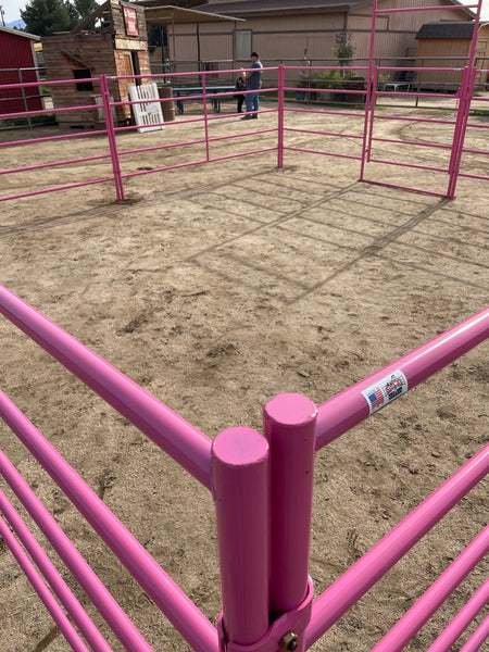 pink mini horse stall
