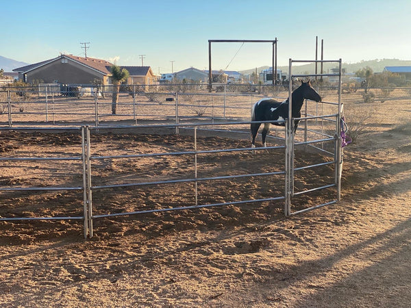 used round pen for sale