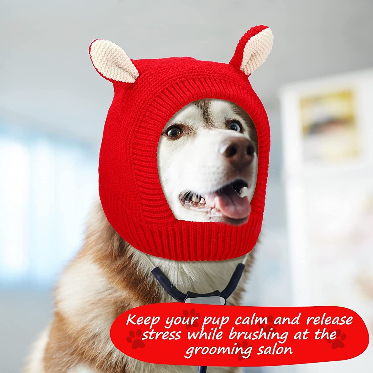 how to keep dog ears warm