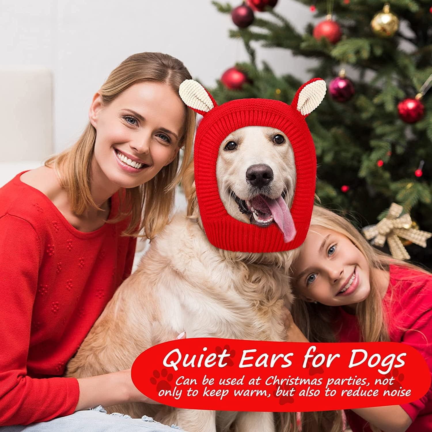 how to keep dog ears warm
