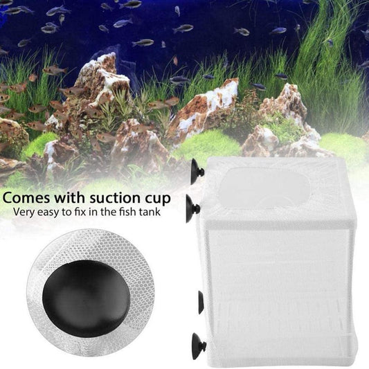 Fish Breeder Net Box for Aquarium - Fish Isolation Breeding