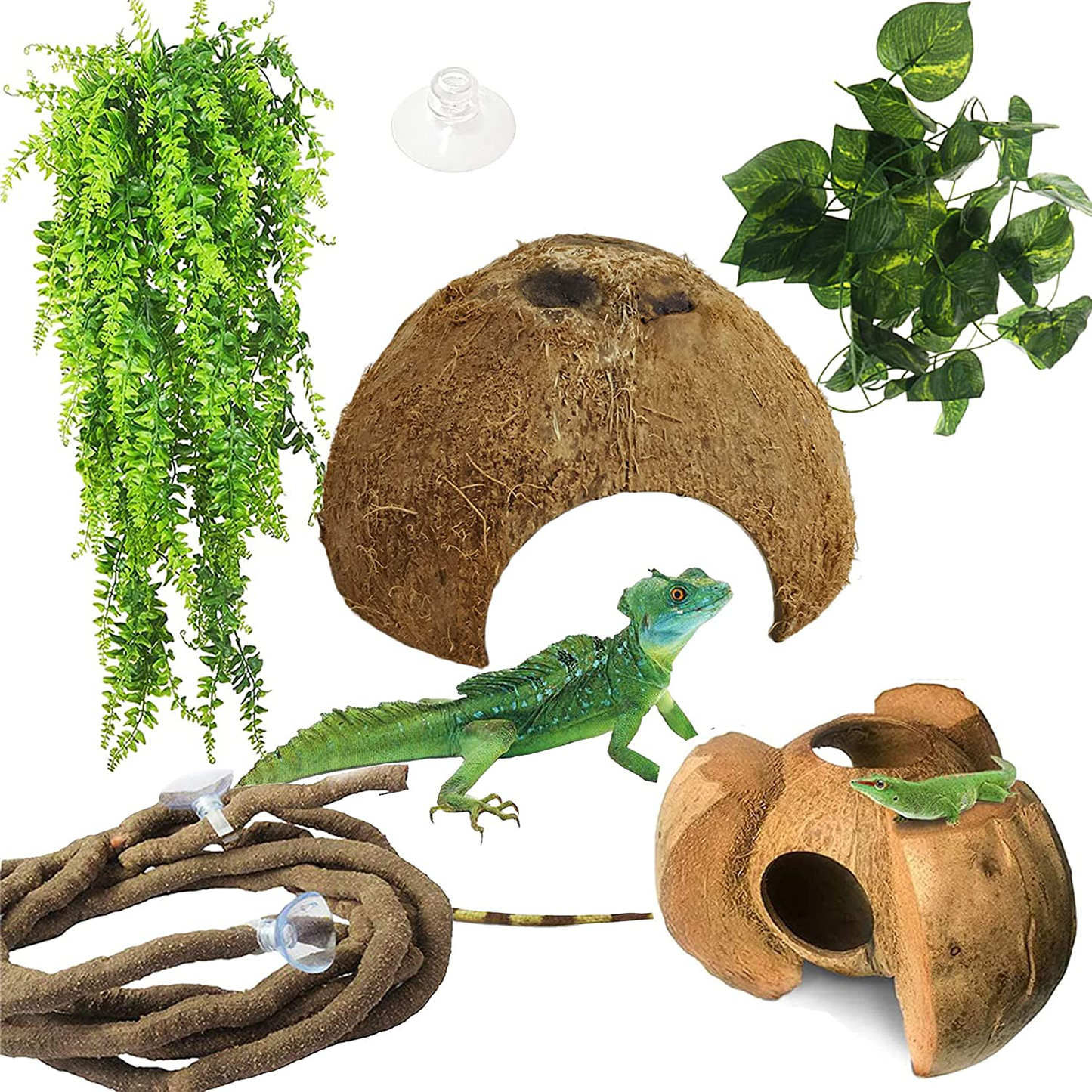 Hamiledyi Reptile Moss Cave Hide,Crested Gecko Habitat Hammock Green Moss  Accessories Plastic Terrarium Plant Vines for Small