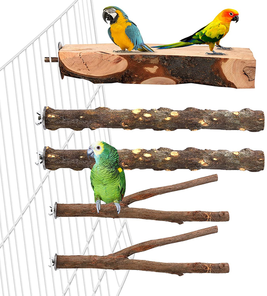 4 Pack Natural Wood Bird Perch for Bird Cages,Parrot Stand Perch Platf –  KOL PET