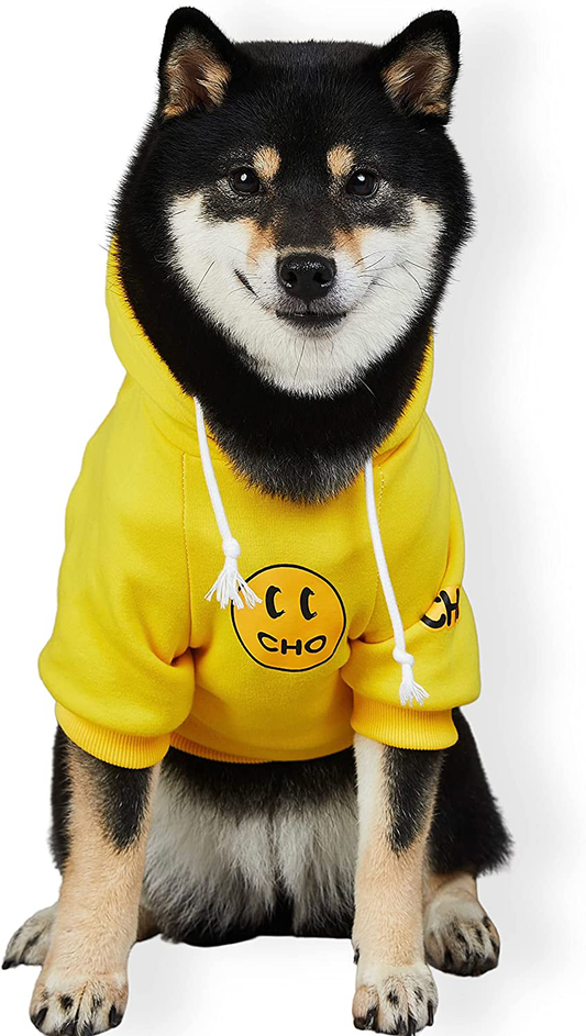 Chochocho Woof Dog Hoodie, Designer Dog Hoodies for Small Medium Large –  KOL PET