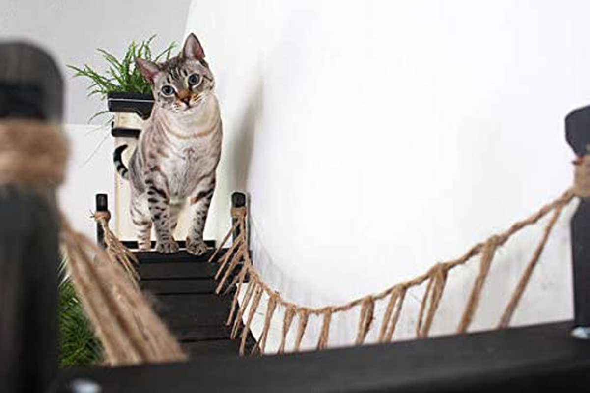 最も イーストリバーCatastrophiCreations Cat Bridge Wall-Mounted Play and Lounge Toy  Tree with Fabric Lounger for Pets